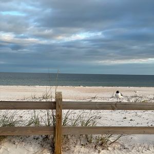 Meet your Posher, Hope